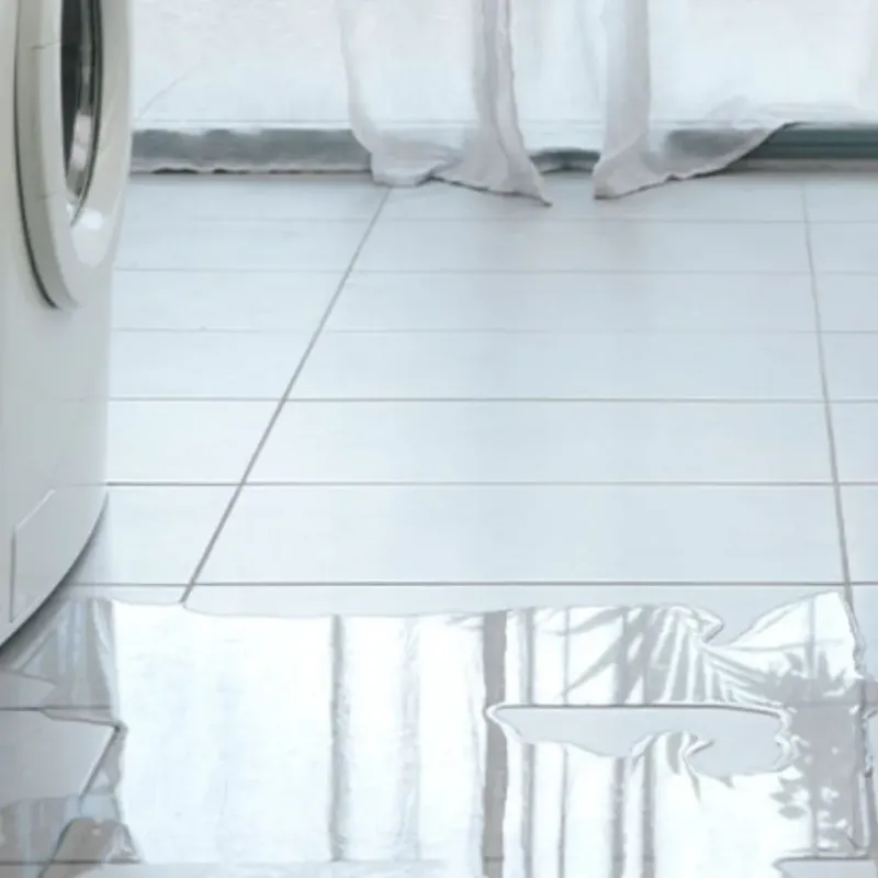 Appliance Leak Cleanup in Monticello, IL