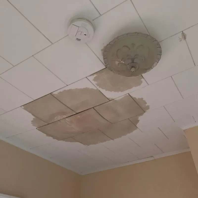 Ceiling Water Damage Repair in Monticello, IL