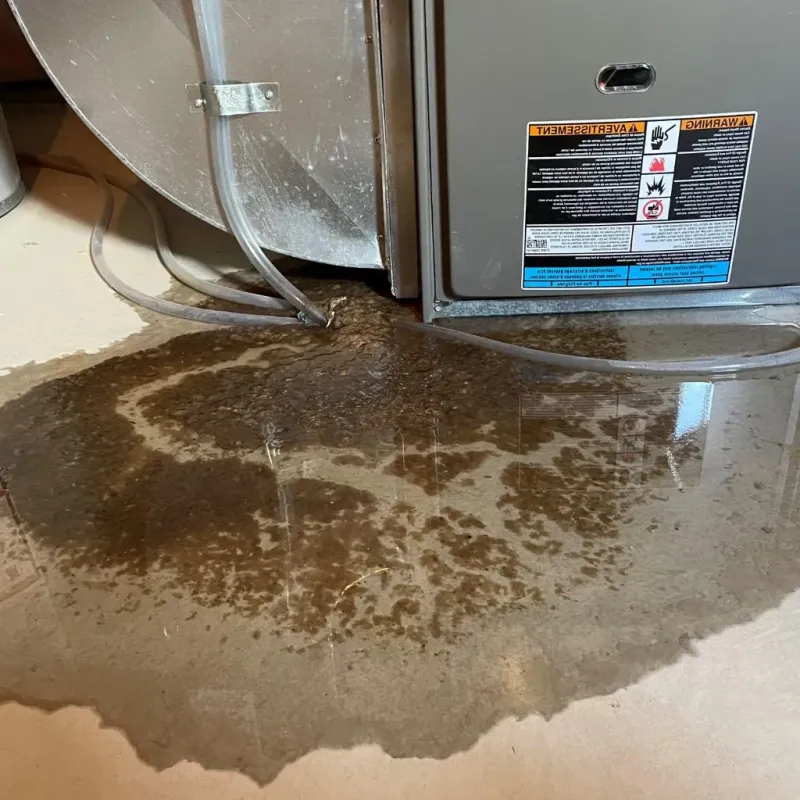 Pipe Burst and Leak Restoration in Monticello, IL