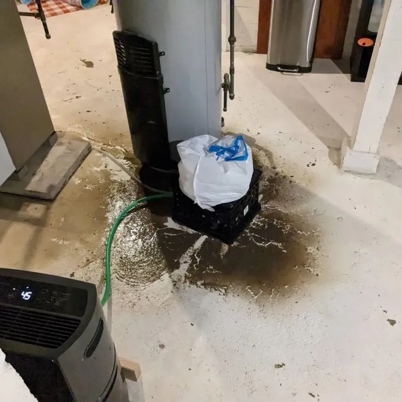 Sewage Backup Cleanup Service in Monticello, IL